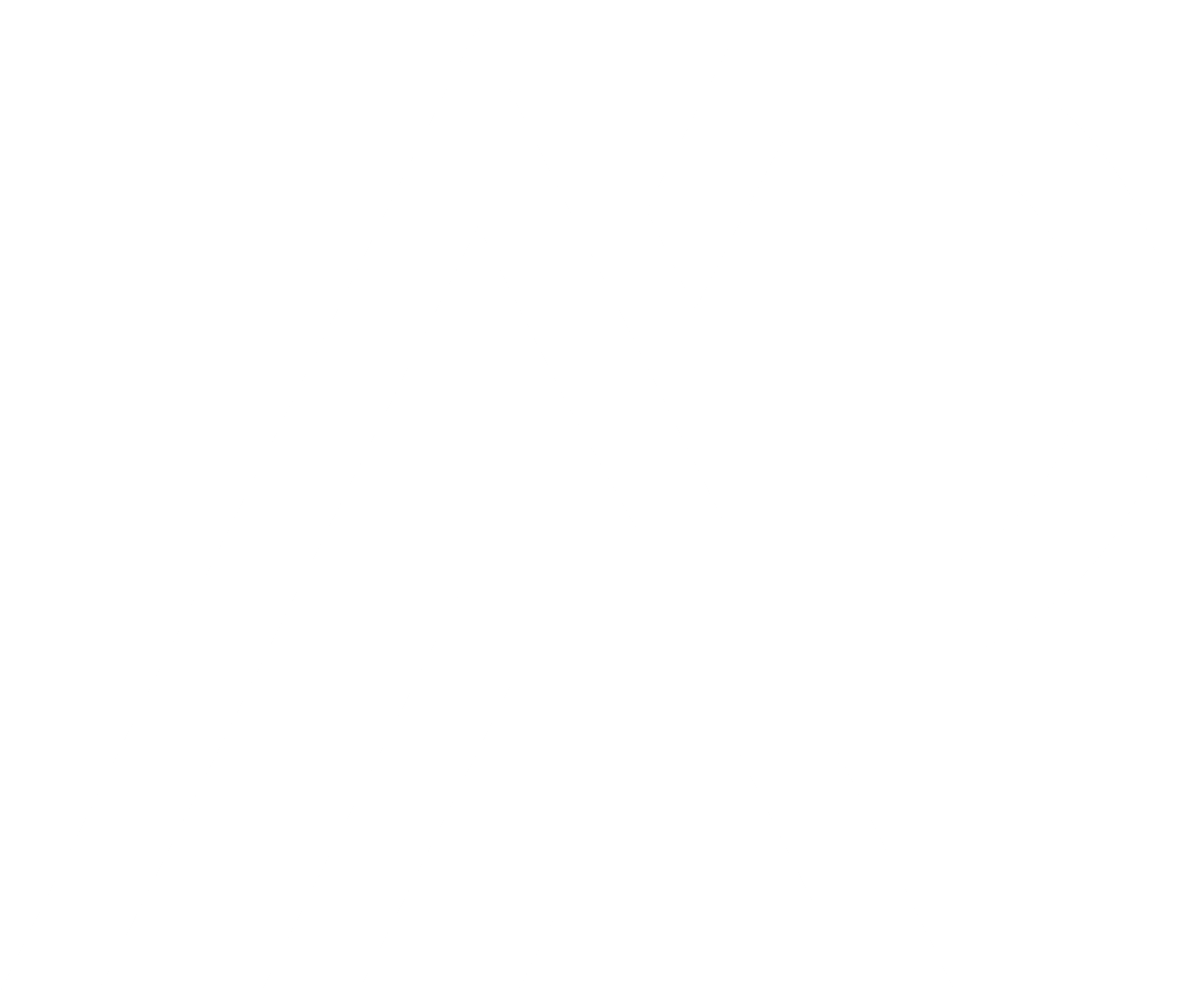 Alipaz Partners